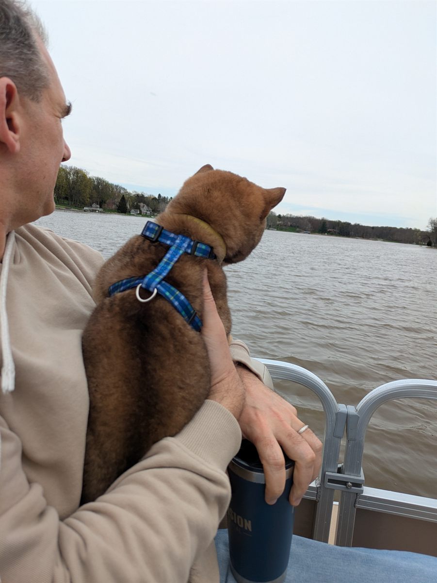 Shiba Inu puppy being calmly held during a boat outing